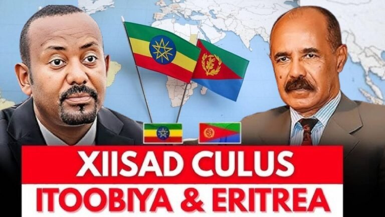 Ethiopia accuses Eritrea of border incursions, supporting armed groups