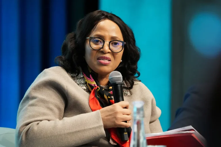 Lesotho finance minister Matlanyane denies using AI to write budget speech.