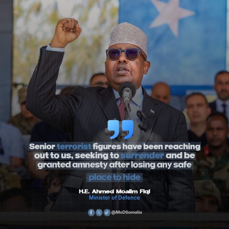 Minister of Defense Says Senior As Terrorists Seeking to Surrender to SNA