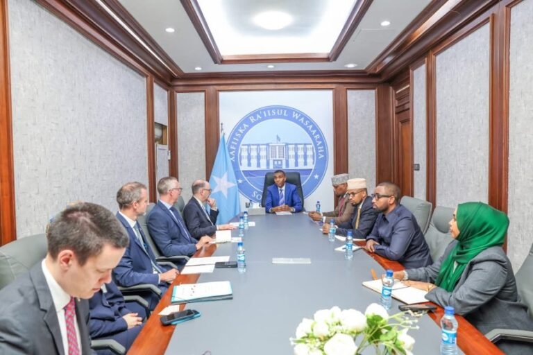 Prime Minister Hamza Meets German Delegation to Discuss Bilateral Relations