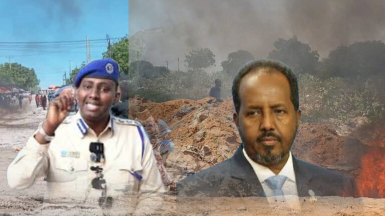 {DAAWO MUUQAALKA} Shacab Careeysan oo Banaanbax ka dhigayo Xaafada Dab Damiska.