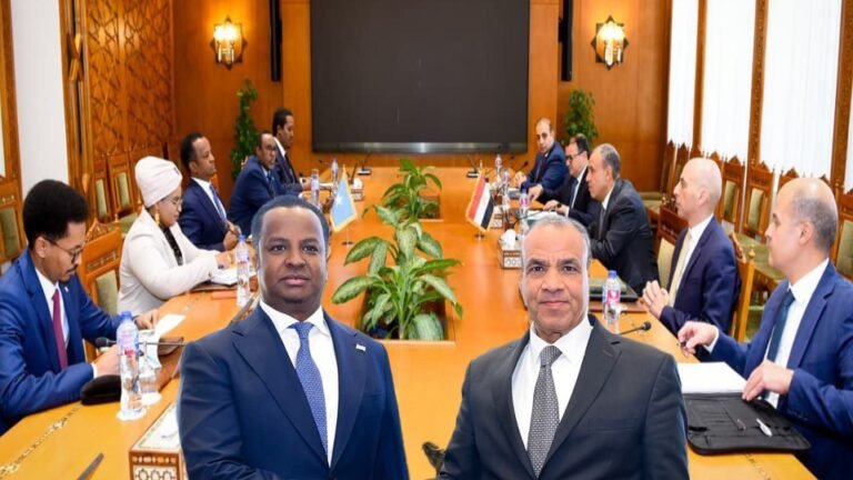 Soomaaliya iyo Masar oo Yeeshay La-Tashiyo ay ku Xoojinayaan Iskaashiga Labada Dal.