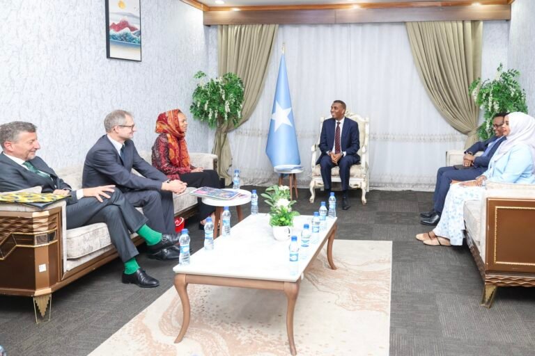 RW Xamsa oo xafiiskiisa ku qaabilay wafdi ballaaran oo ka socday Hay’adda Horumarinta iyo Iskaashiga Switzerland.