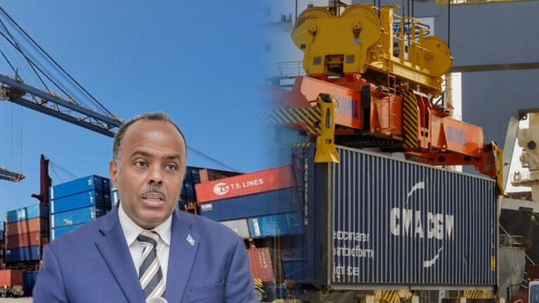 {DAAWO MUQAALKA} Dowladda Soomaaliya oo Dib u eegis ku Sameeyneyso Shirkadda Maamusha Dekadaha Boosaaso iyo Berbera