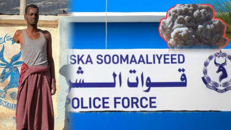 {DAAWO MUUQAALKA)    Ciidanka Xudur oo Gacanta Ku Dhigay Eedeysane Qarax Kageystay Magaalada Xudur