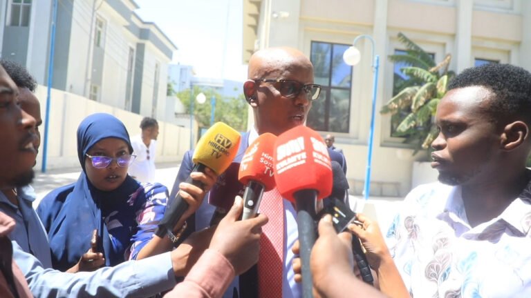 {DAAWO MUUQAALKA} Xildhibaan Saabir ”Sababta MW Dani looga tagay ayaa ah in hawiye kursiga ayuu haaystaa”
