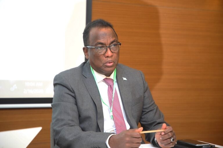 Koonfur Galbeed oo shaaca ka qaaday dalka soo dhiibay hubka ay DF u adeegsaneyso.