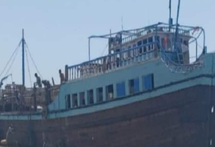 Doon xoolo ka qaaday Soomaaliya oo ku qallibantay xeebaha dalka Yemen.