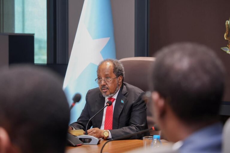Maxeey ka wada hadleen Madaxweyne Xasan Sheekh danjireyaasha iyo wakiillada hay’adaha caalamiga ah ee ka hawlgala Soomaaliya?