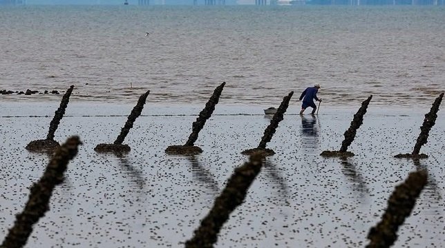 Shiinaha oo walaac horleh giliyay Sirdoonka Mareykanka.