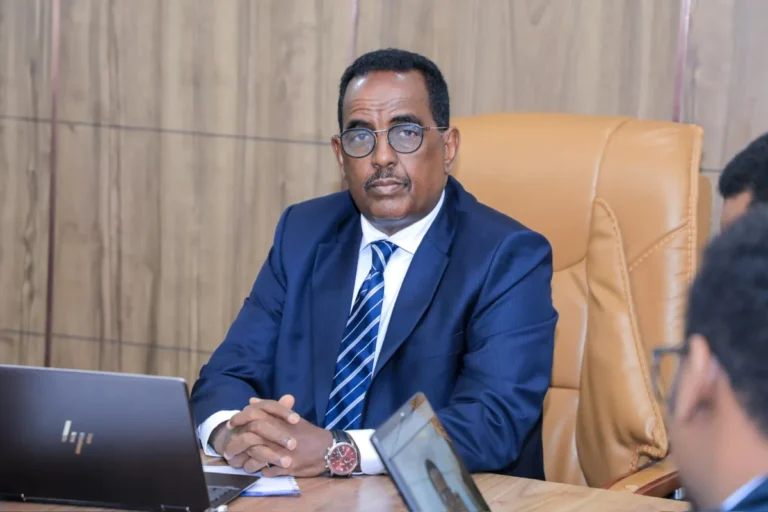 DFS oo maamul cusub u magacawday Degmada Waajid ee Gobolka Bakool ee Dowlad-Goboleedka Koofur Galbeed.