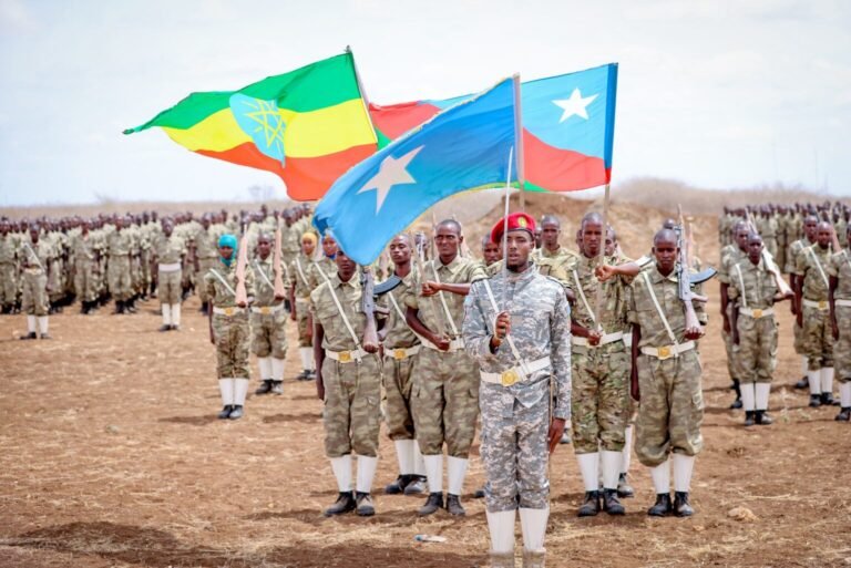 Madaxweyne  Laftagareen  ayaa maanta tababar u soo xiray cutubyo ka tirsan Ciidanka Daraawiishta Koonfur Galbeed.