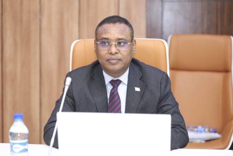 Prime Minister Appoints Interim Leader for Southwest State to Ensure Stability